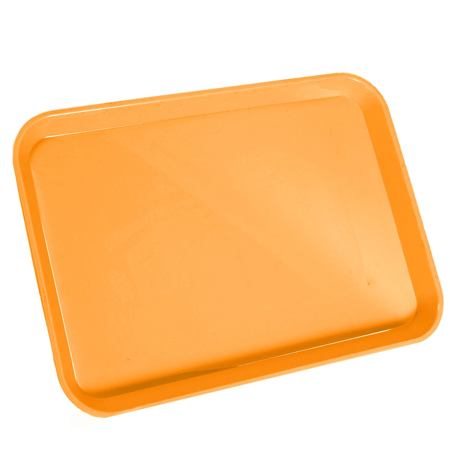 Autoclavable Dental Procedure Tray Lockable Set up Flat Trays Size B (Ritter),Plastic Instrument B-Lok Flat Trays, 13.25 x 9.75X 0.875 Inches